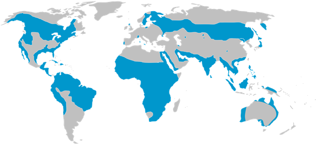 Range Map - Visa Free Countries For South Africa (640x296)