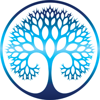 Equinox Experience Equinox Experience Equinox Experience - Enchanted Forest (350x350)