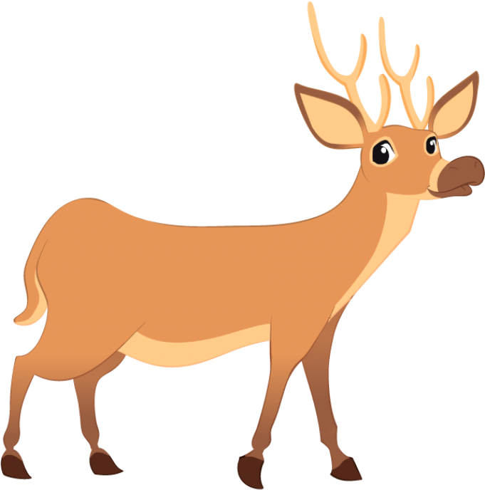 Vector Graphics (1000x751)