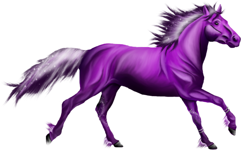 Purple - Purple Horse Drawing (900x600)