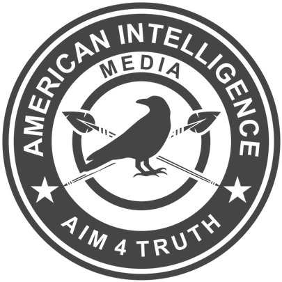 American Intelligence Media - 3.8 Inch Army Intelligence Iraq Veteran Decal (496x500)