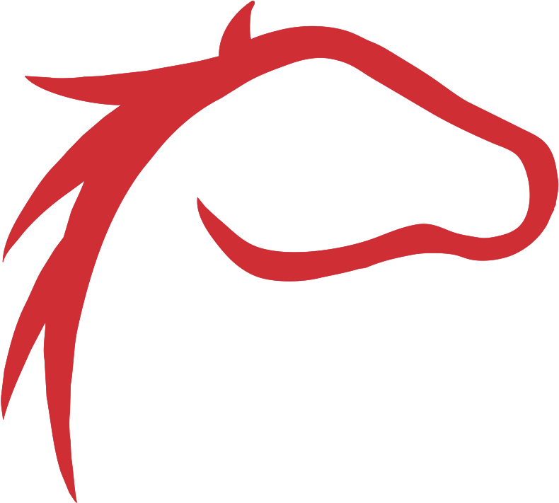Follow Us - Horse (800x720)