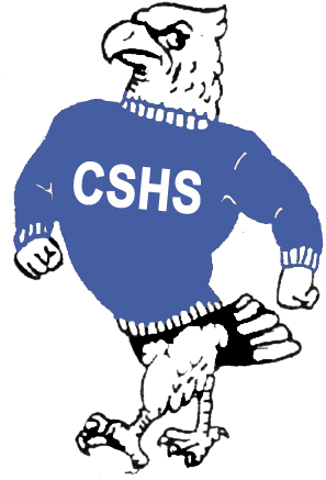 Falcon ' - Cactus Shadows High School Logo (331x467)