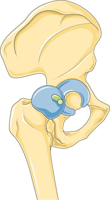 Bassin - Garden Pond (367x667)