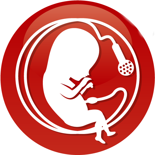 The Fetal Position - Violinist Analogy (551x537)