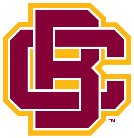 13, 12 September 2016 - Bethune Cookman Wildcats Logo (500x500)