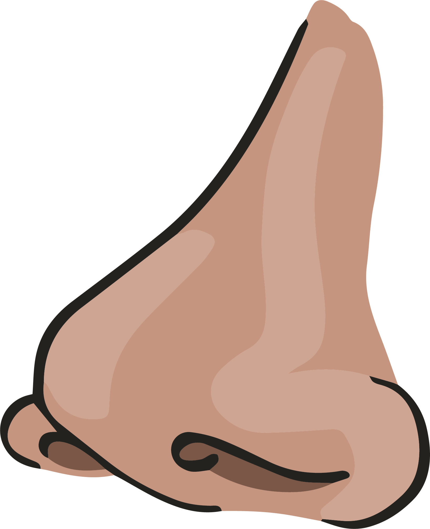 Pancreas - Pancreas (1636x2014)