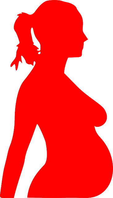 Dr Ananya Mandal, M - Outline Of Pregnant Woman (500x874)