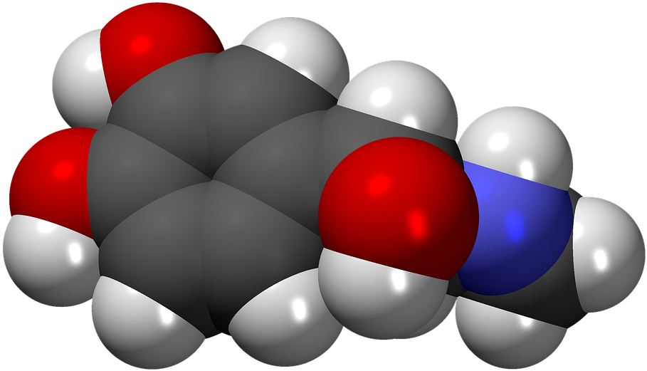 Let's Talk About Hormones What Are They - Epinefrina Hormona (960x568)
