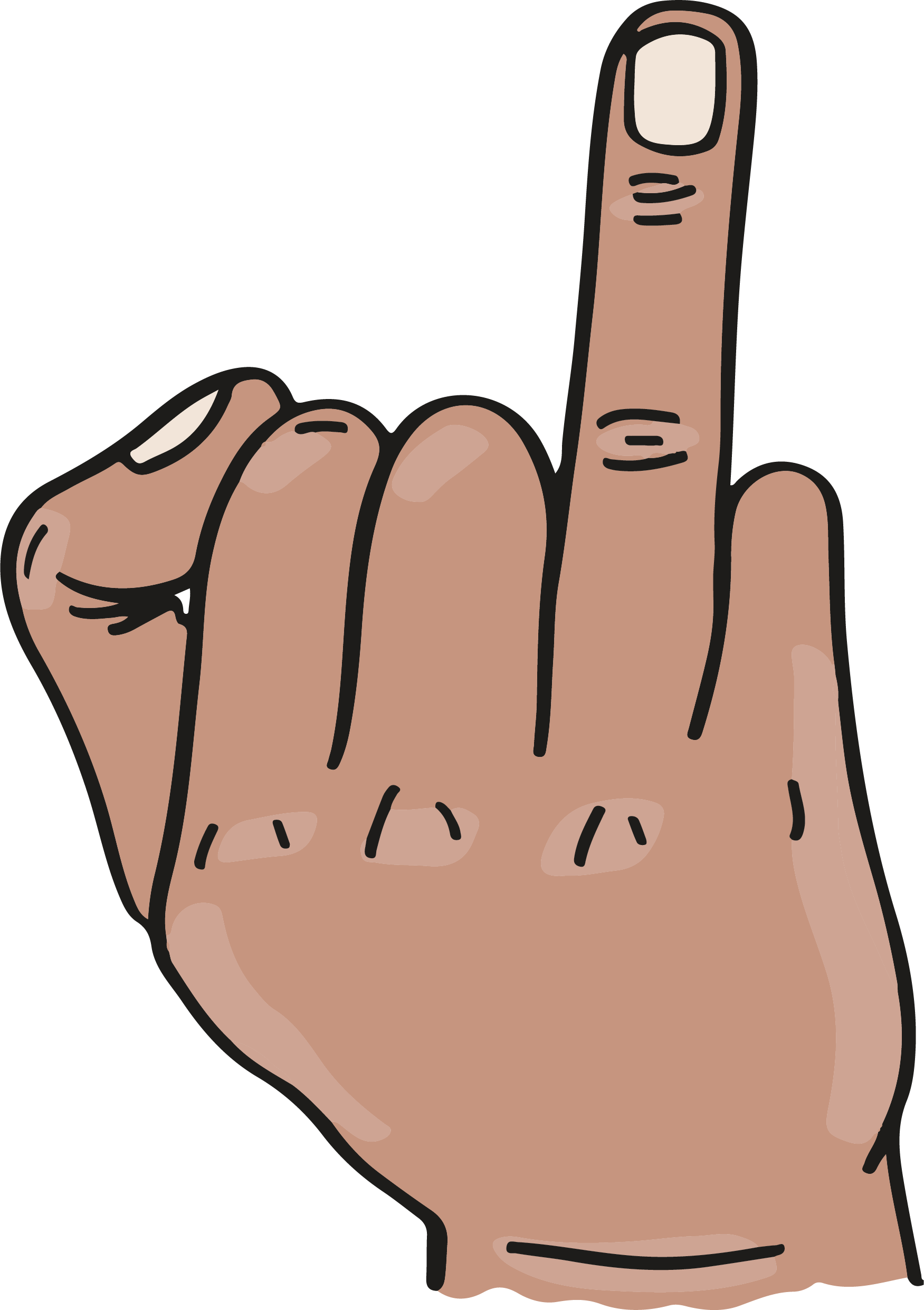 Hypothalamus, Pituitary, And Adrenal Gland - Hypothalamus, Pituitary, And Adrenal Gland (1751x2482)