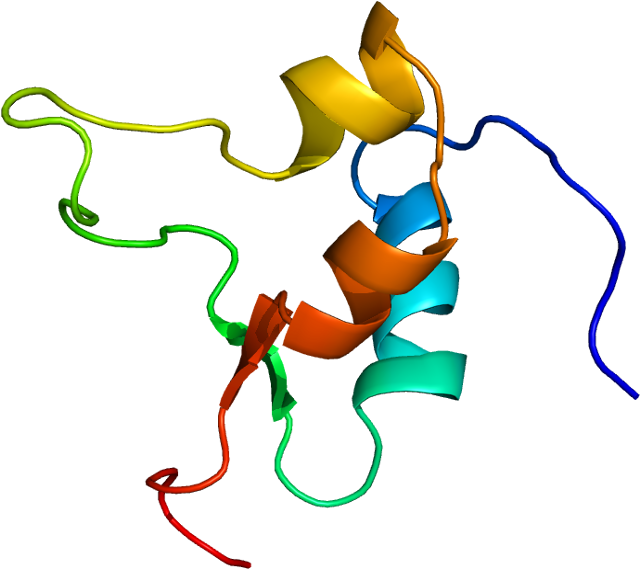 Insulin-like Growth Factor 2 (689x618)