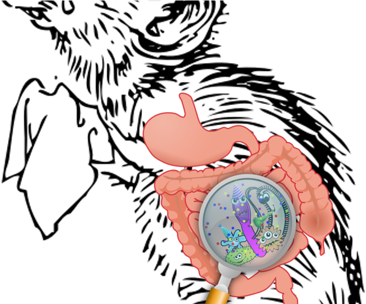 Early-life Stress Goes From Brain To Gut To Microbiota - Sad Mouse Cartoon (1176x618)