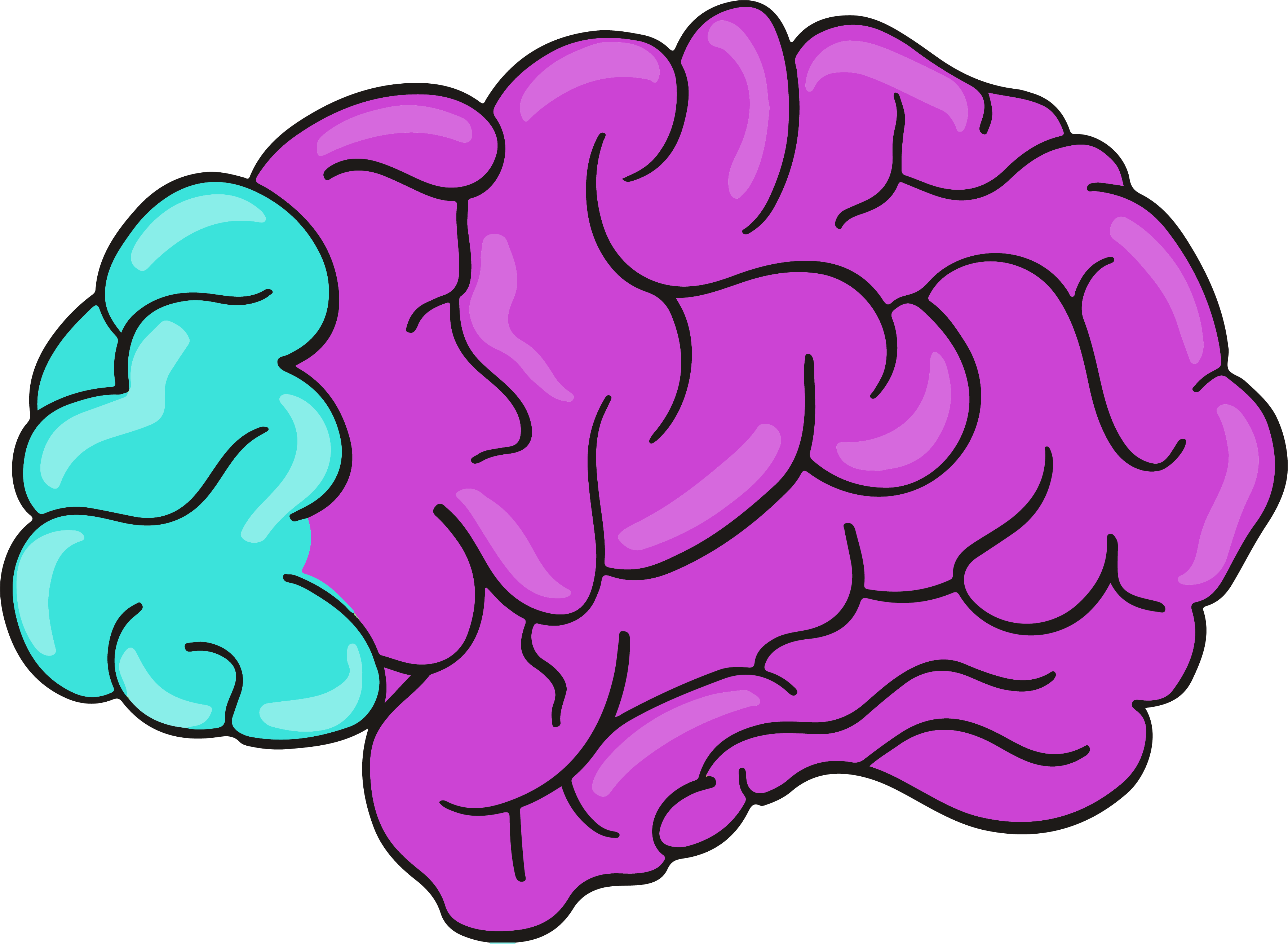 More From - Illustration (3573x2618)