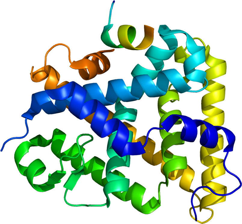 Steroidogenic Factor 1 (854x792)
