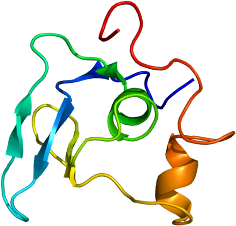 Available Structures - Fbn1 (500x481)