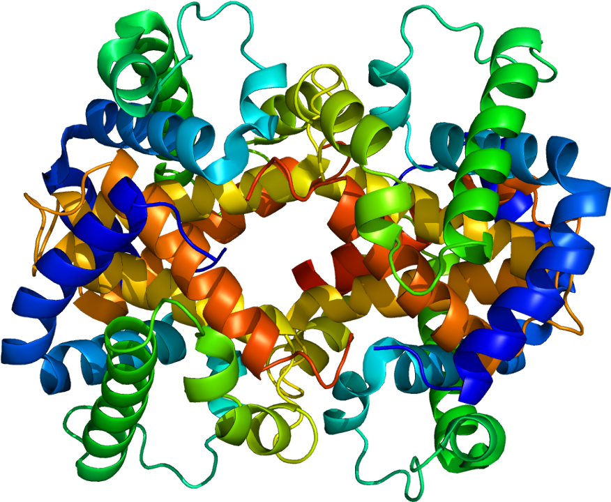 Retinoic Acid Receptor Alpha (925x769)