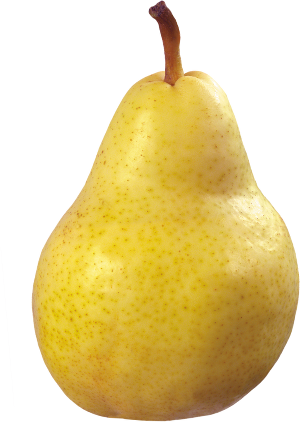 Es La Variedad Que Ha Hecho Famosas A Las Peras De - Pear Png (300x422)