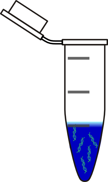 Centrifuge Tube Dna Blue Clip Art - Centrifuge Tube Clipart (354x596)
