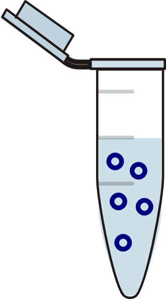 Eppendorf Tube (330x593)