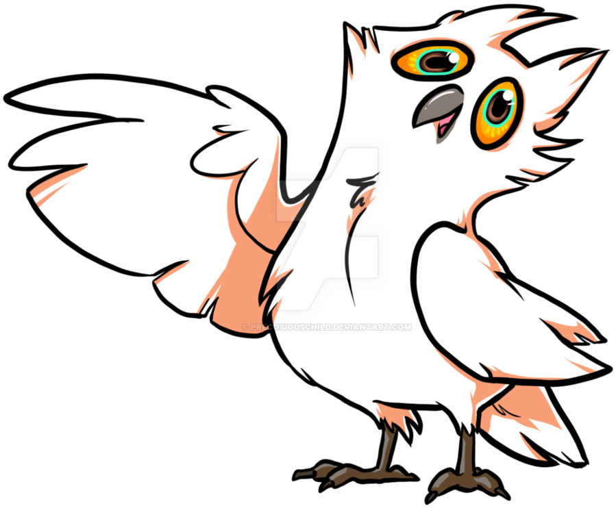 Bird Line Art Owl - Bird Line Art Owl (975x819)