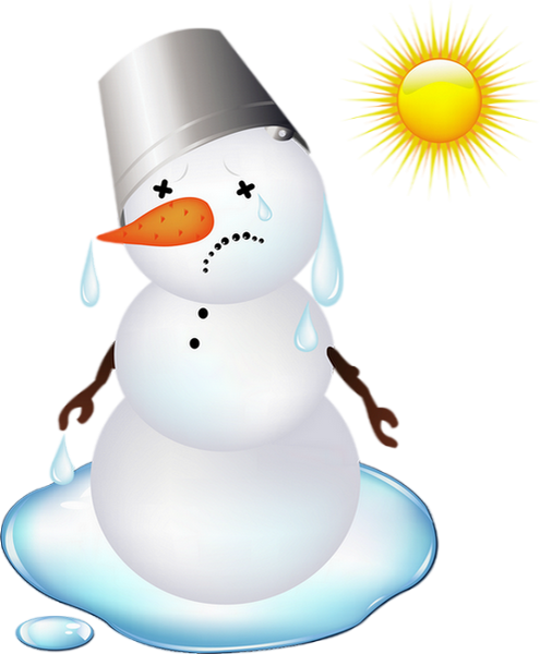 Vector Graphics (495x600)