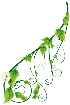 Colores Del Yute - Colores Del Yute (280x465)