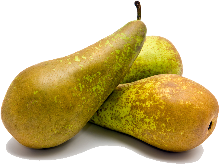 Pera “ - Pera Conference (800x800)