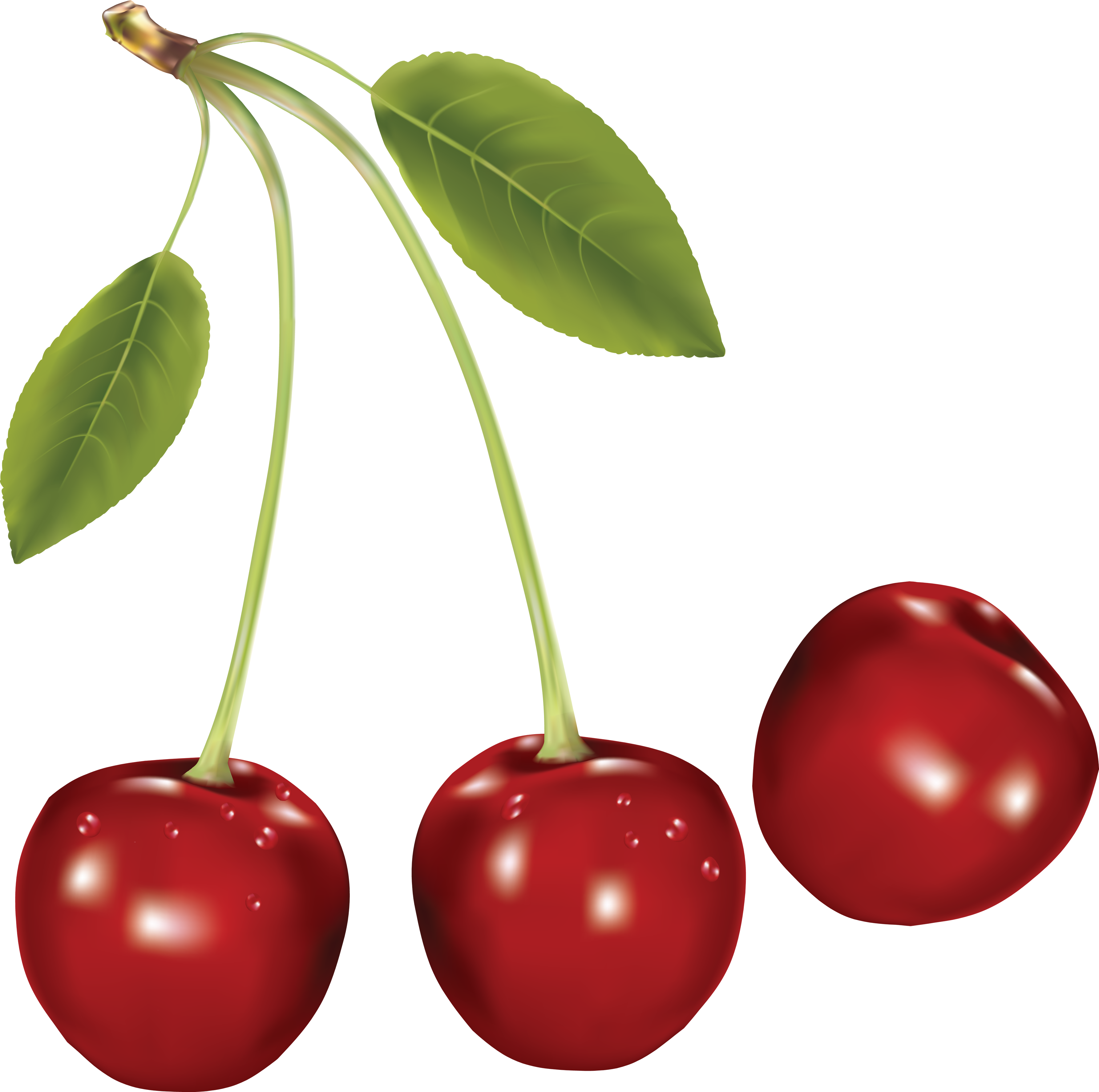Cherry Clipart Png Picture - Cherry Png (3569x3546)