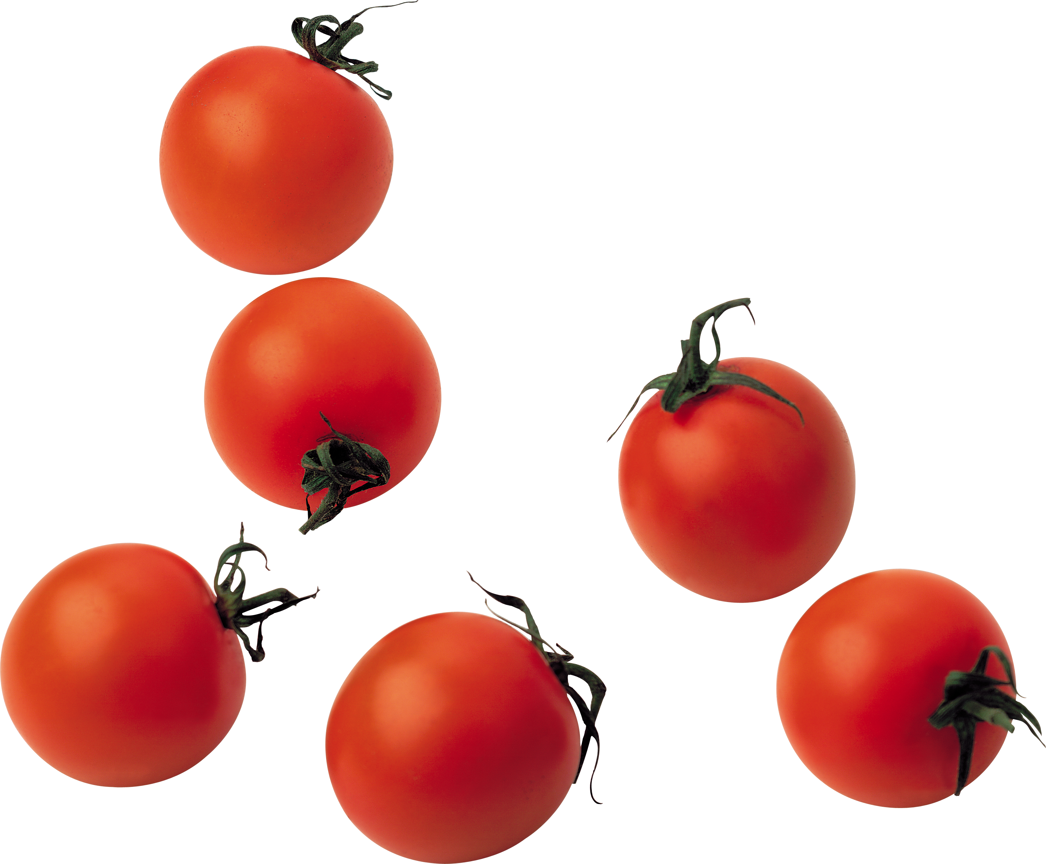 Tomato Png Images Free Download - Cherry Tomato Png (3365x2780)