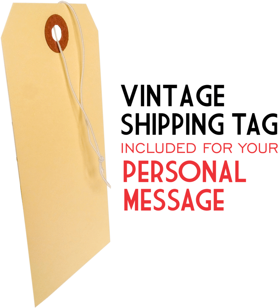 Screamin' For Ice Cream Here's The Scoop - Box (992x1024)