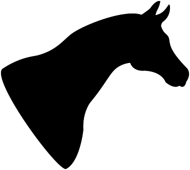 Horse Silhouette Head Ride Black Logo Hors - Horse Head Silhouette Png (640x572)