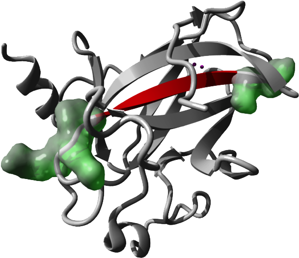 Enriched At The Flanks Of Aggregating Protein Sequences - Illustration (639x546)