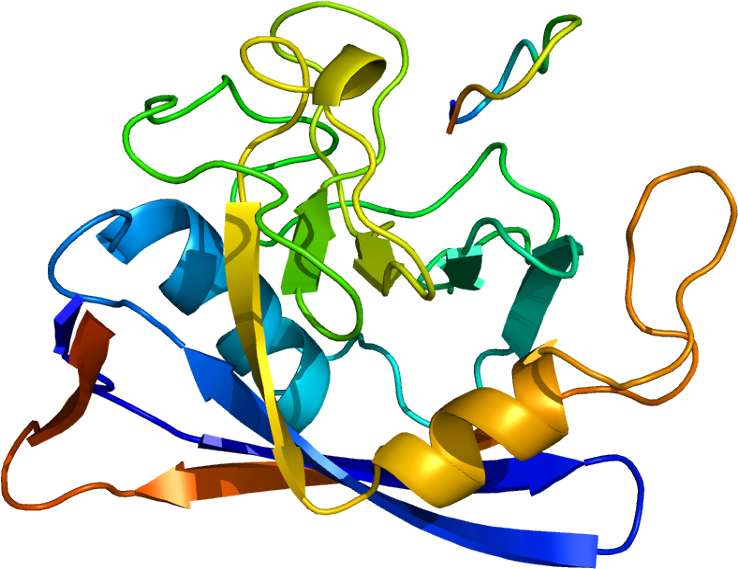 Protein Data Bank (787x618)