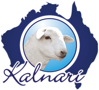 Kalnari Logo Footer - Psalms On The Harp (403x369)