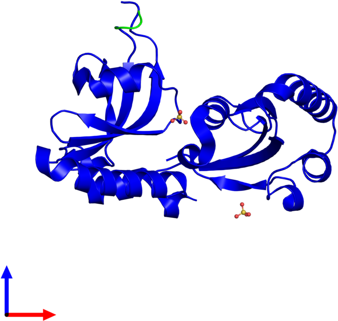 <div Class='caption-body'><ul Class ='image Legend - Illustration (800x800)