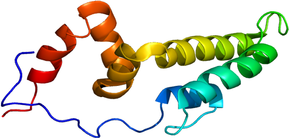 Protein String (611x319)