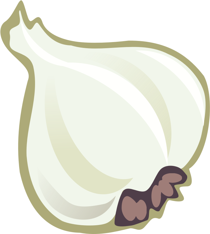 Clipart - Garlic - Garlic Clip Art (800x800)