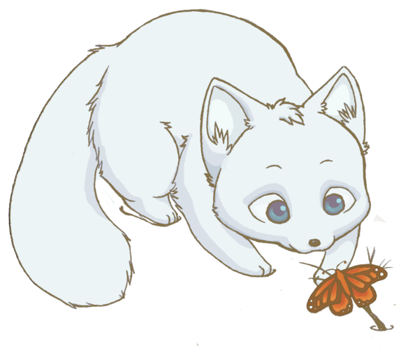 Image - Draw A Arctic Fox (600x502)