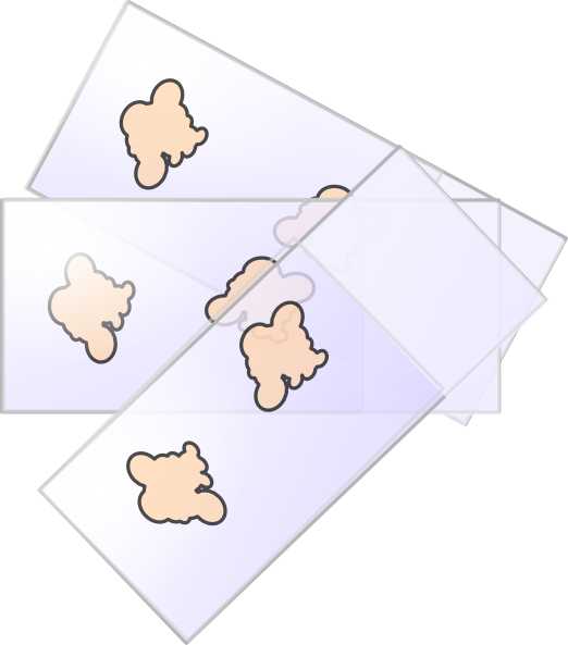 Slide Microscopy Bone2 Clip Art At Clker - Microscope (522x593)