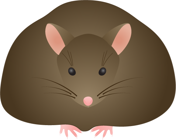 Brown Mouse Clip Art - Transparent Background Rat Gif (579x461)