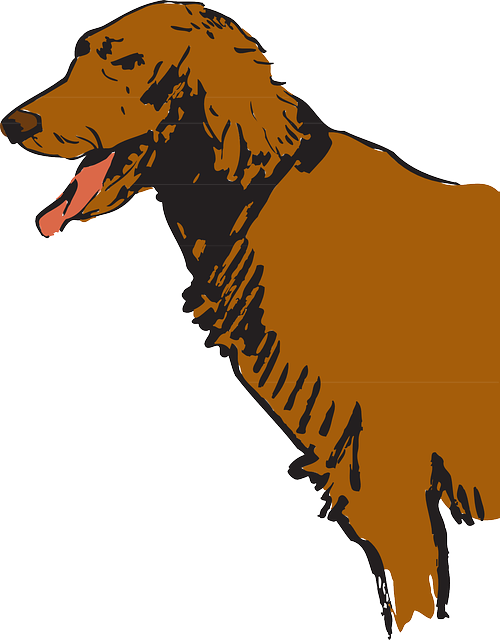 Art, Pet, Animal, Fur, Furry, Panting, Pants - Hairy Brown Dog Clipart (500x640)