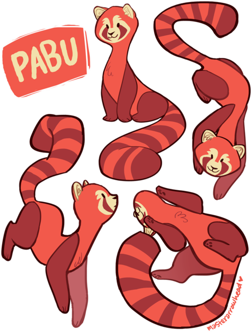 Papu Fox Ferret - Red Panda Fan Art (500x658)