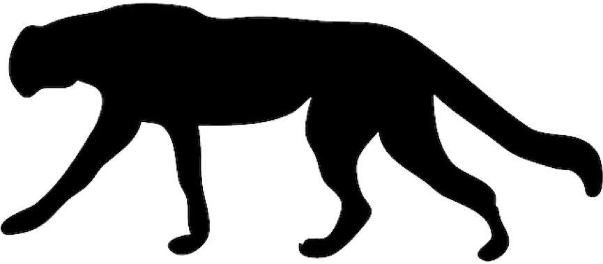Cheetah - Cheetah (864x432)