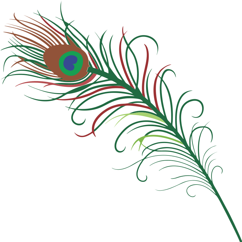 Domain Peacock Clip Art - Peacock Feather Tattoo (800x800)