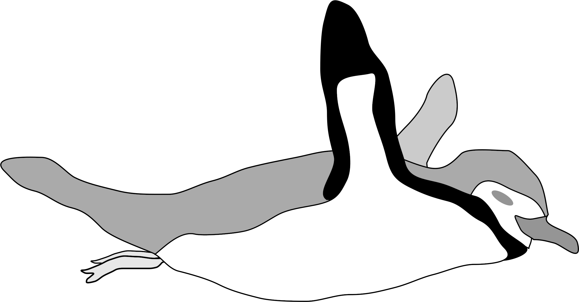 Big Image - Draw A Penguin Swimming (2400x1264)