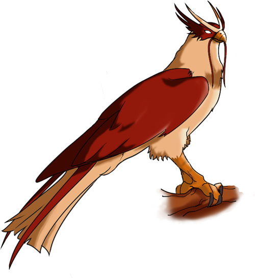 The Last Airbender Character - Avatar The Last Airbender Hawky (500x545)