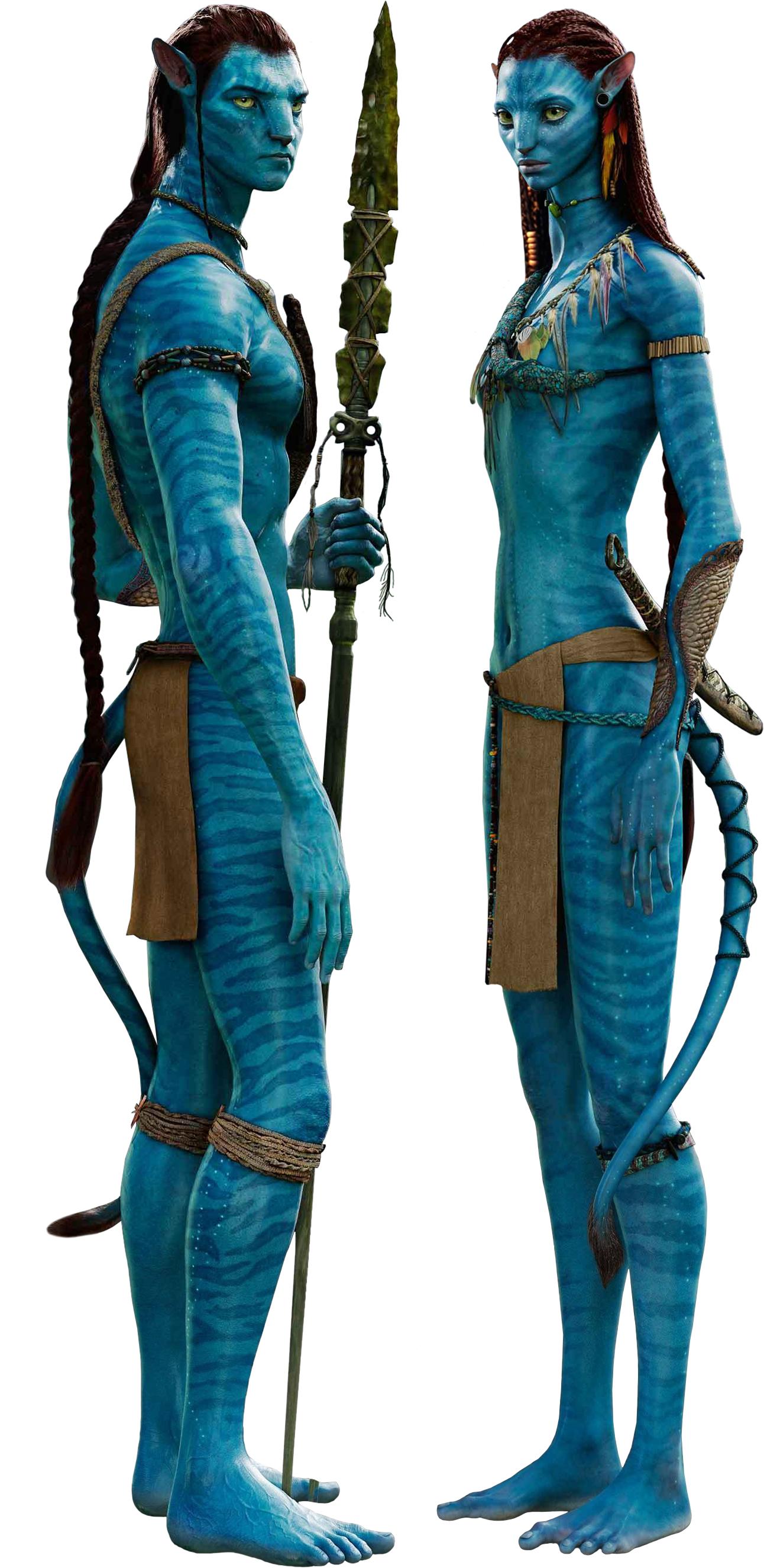 Avatar Film Png Images Free Download - Jake Sully And Neytiri (1292x2649)