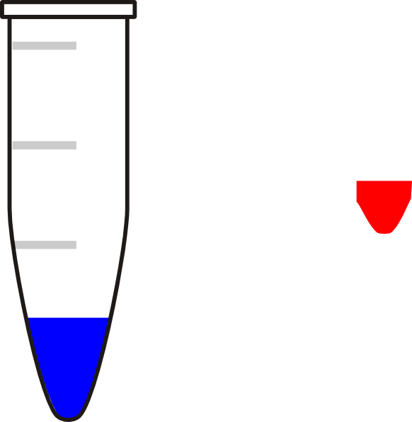 Eppendorf With Blood Zxc Clip Art At Clker - Eppendorf Cartoon (582x596)