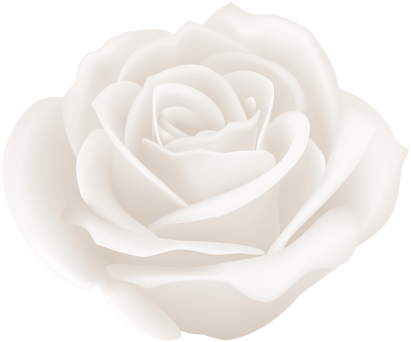 Centifolia Roses Garden Roses Clip Art - Centifolia Roses Garden Roses Clip Art (600x500)