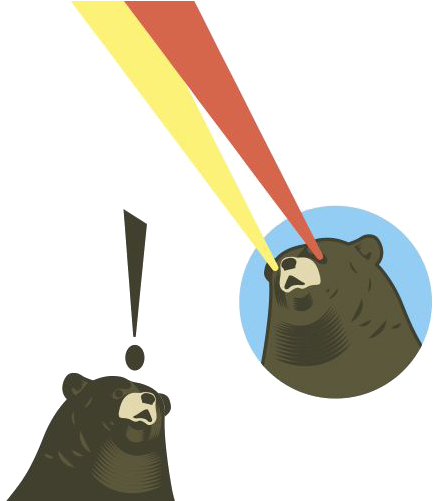 Brown Bear American Black Bear Illustration - Brown Bear American Black Bear Illustration (500x500)